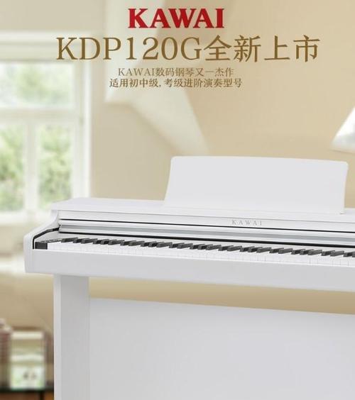 乐声听力（掌握乐声听力，开启全新的听力体验）