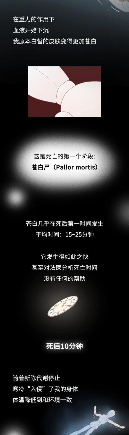 人死后的世界（逝者安息还是永恒徘徊？揭秘死后世界的真相与可能性）