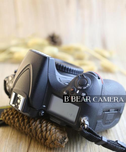 尼康D8100相机的特点和性能（探索尼康D8100相机的高画质和先进功能）